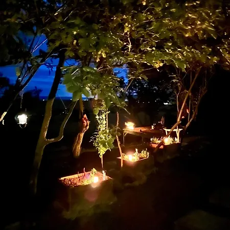 Vejda Veverka Martin