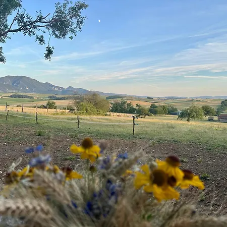 Vejda Veverka Martin