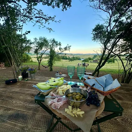 Vejda Veverka Martin