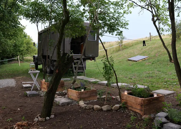 Vejda Veverka Martin