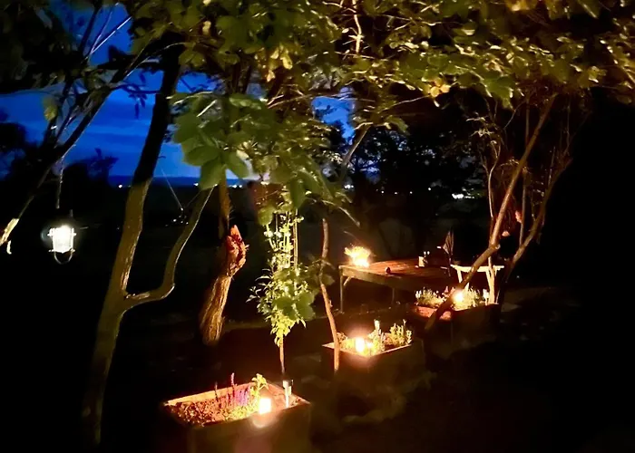 Vejda Veverka Martin