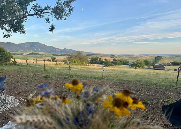 Vejda Veverka Martin