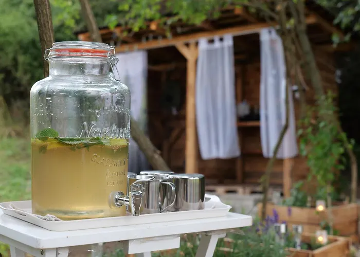 Vejda Veverka * Martin